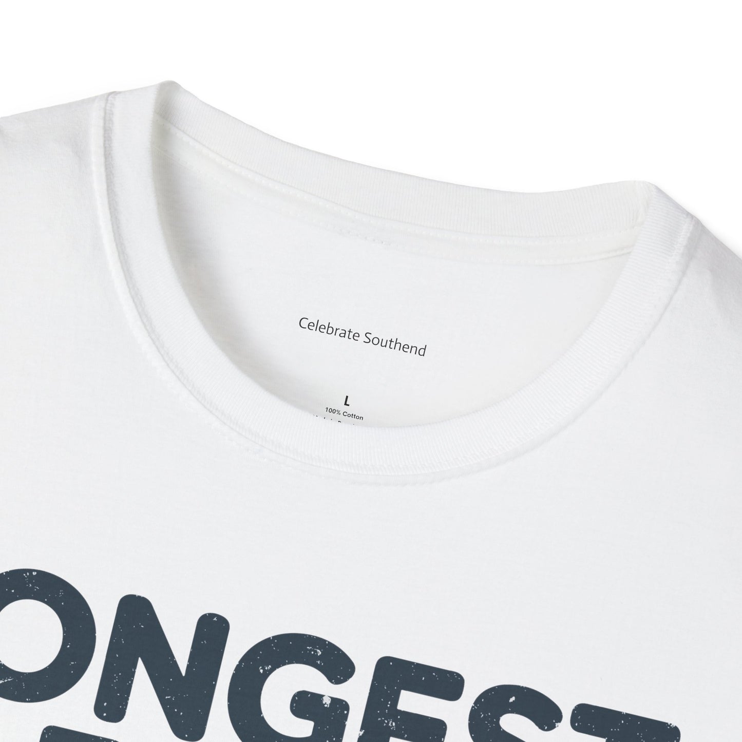 Longest Pier Light T-Shirt