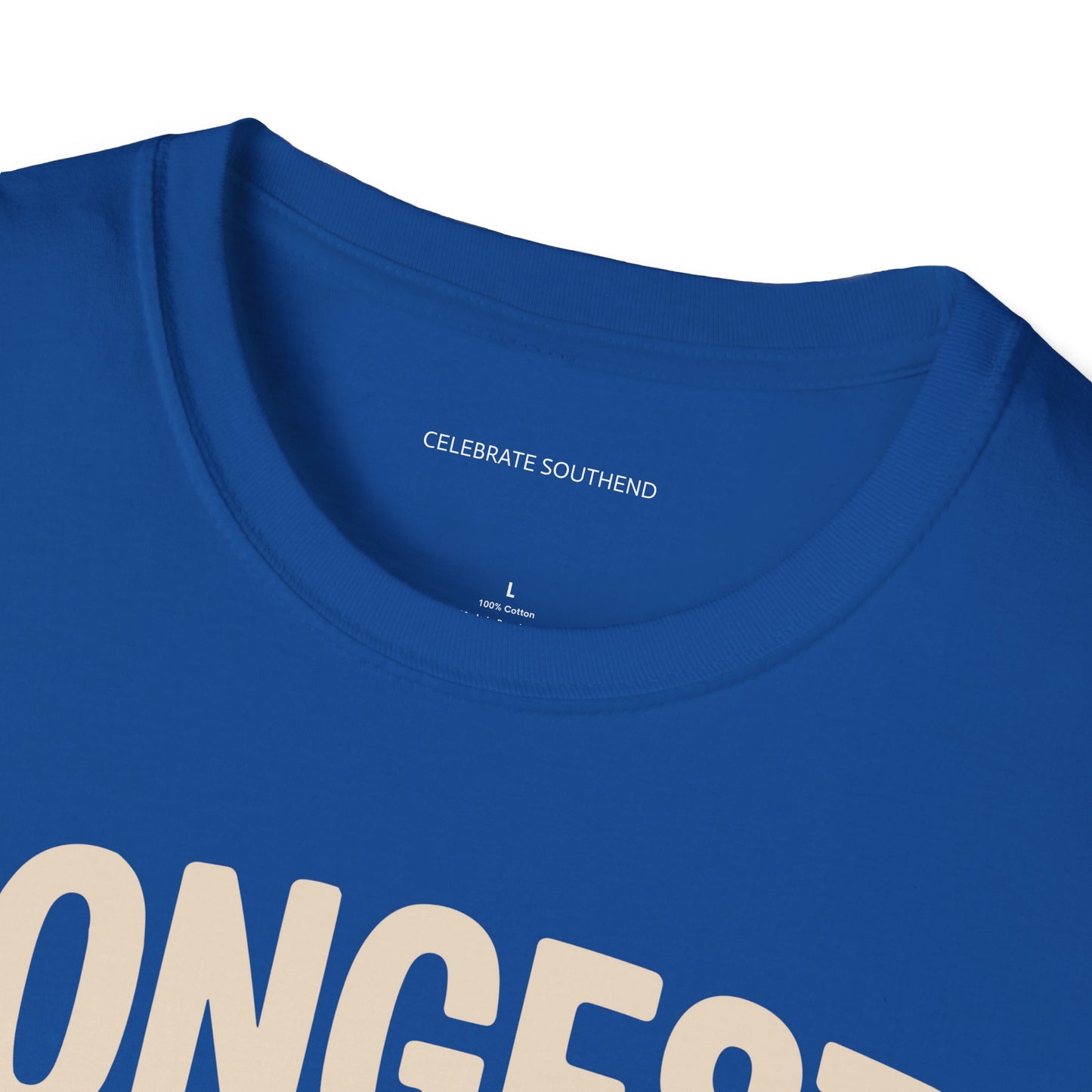 Longest Pleasure Pier Dark T-Shirt