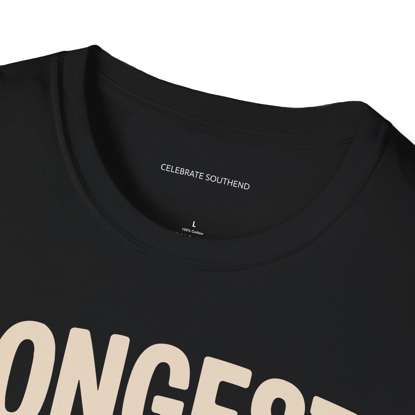 Longest Pleasure Pier Dark T-Shirt