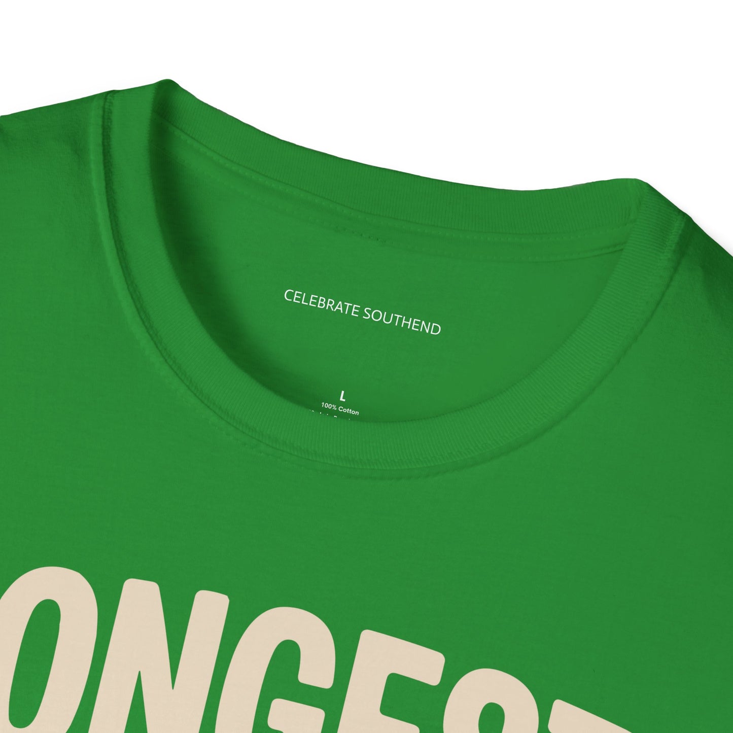 Longest Pleasure Pier Dark T-Shirt