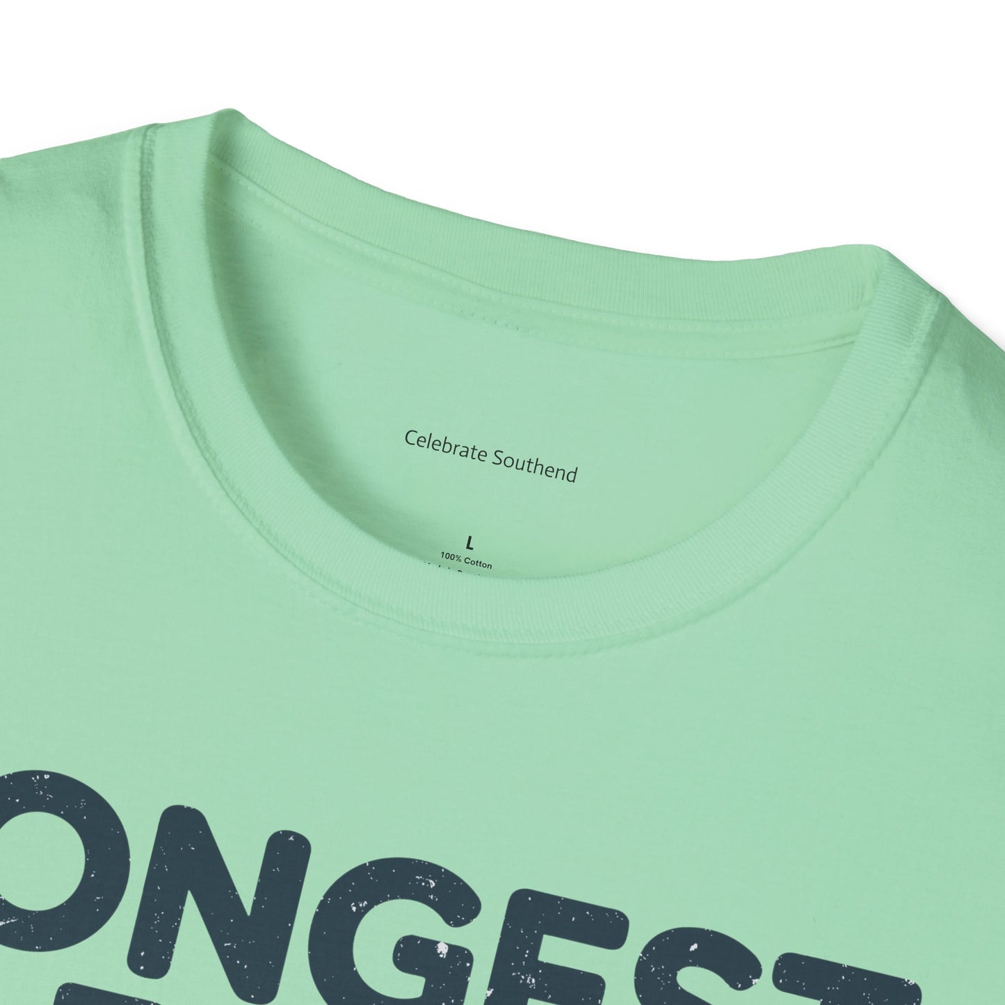Longest Pier Light T-Shirt